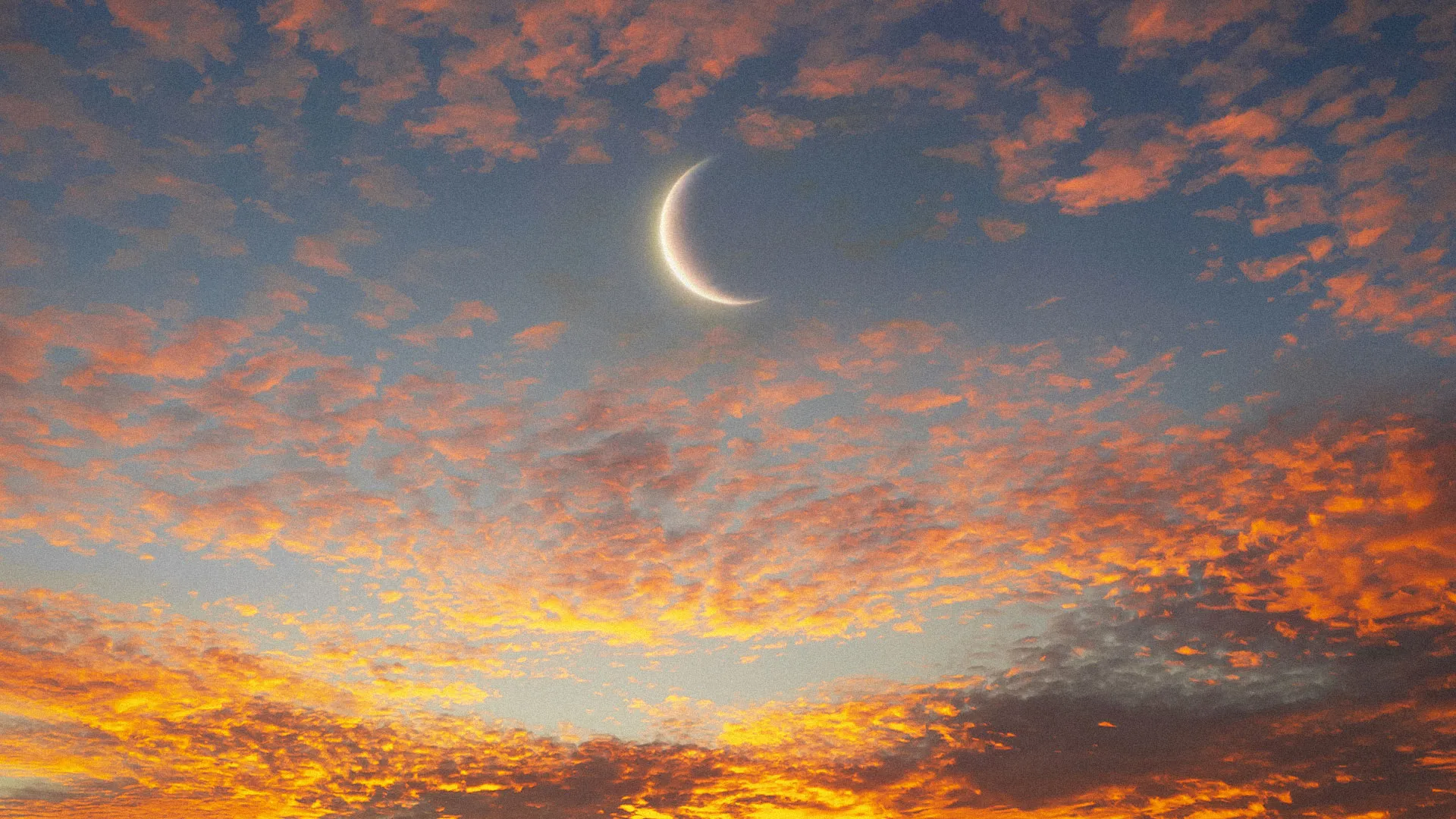 New Moon Special